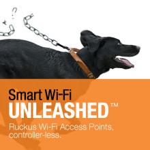 Unleashed Controller-less